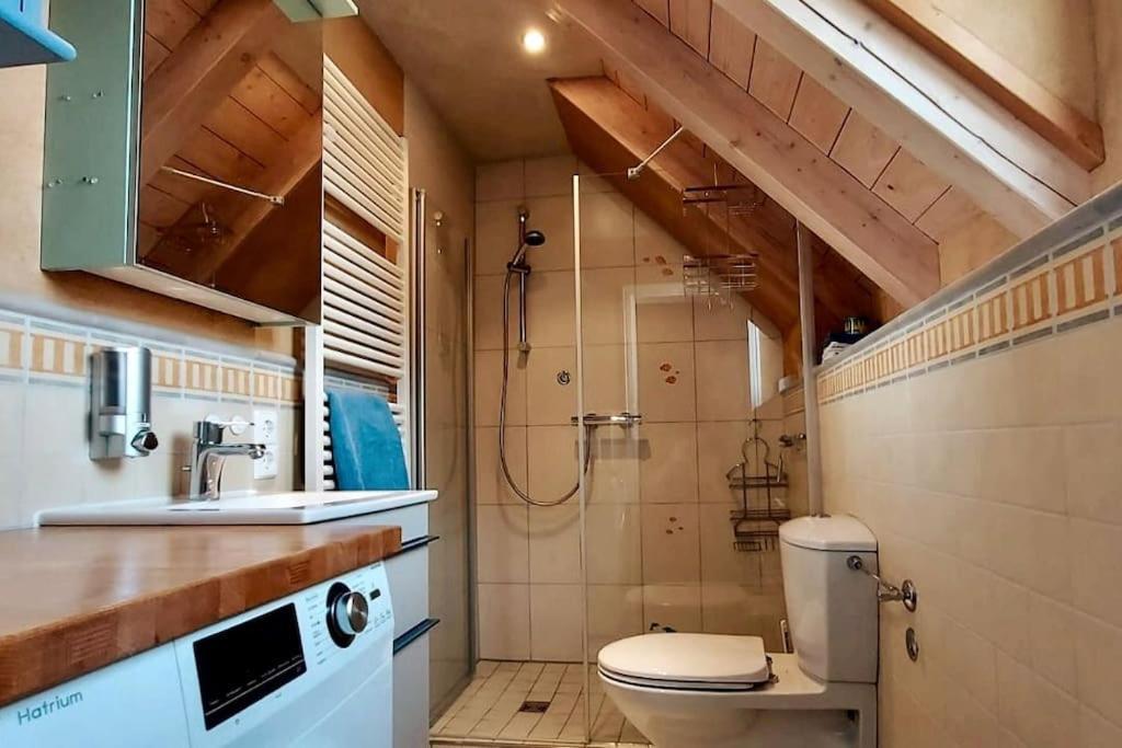 Gemuetliche Ferienwohnung Auf 2 Etagen Mit Dachterrasse Wangen im Allgäu Eksteriør billede