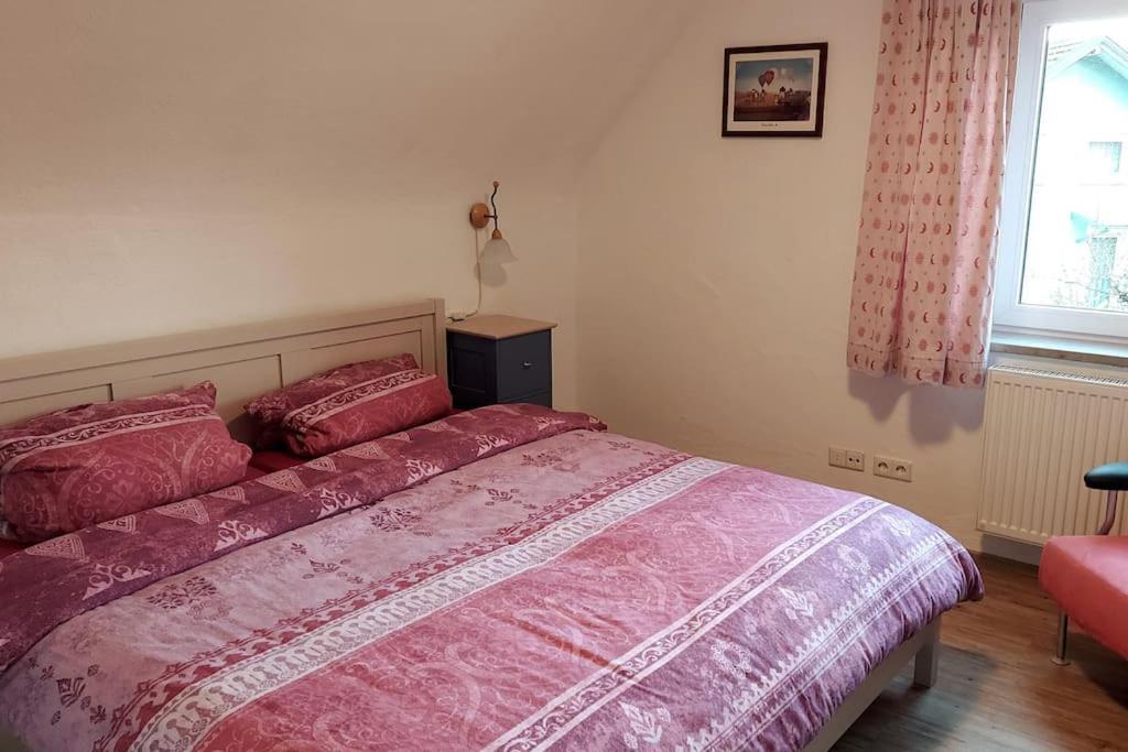 Gemuetliche Ferienwohnung Auf 2 Etagen Mit Dachterrasse Wangen im Allgäu Eksteriør billede